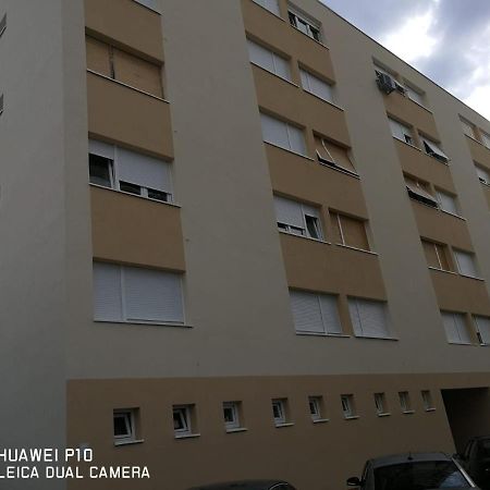 Apartment Mihaela Zadar Exterior foto